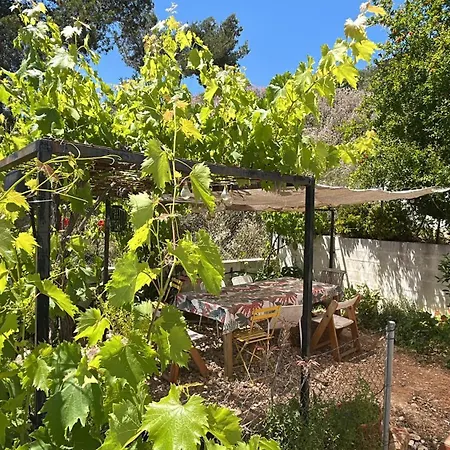 Son Roca Ribes