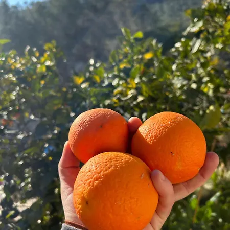 게스트하우스 Son Roca Ribes 산트 페레 데 리베스